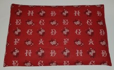 Bouillotte Micro Onde Noyaux