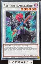 Carte YU-GI-OH! AILE NOIRE -