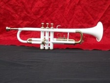 NOUVEAU EMBOUCHURE ÉTUI SANS