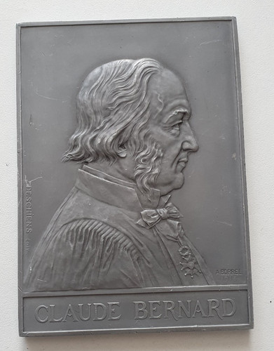 Médaille plaque etain - médaille,