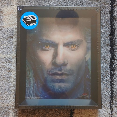 Poster the witcher cadre - the,