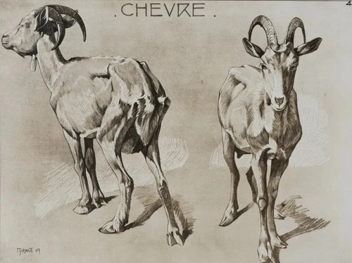 Mathurin meheut la chèvre - :,