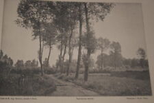 DOUAI LUNETTE MOREL LIEUDIT