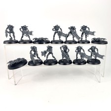 x13 Guerriers + Scarabés