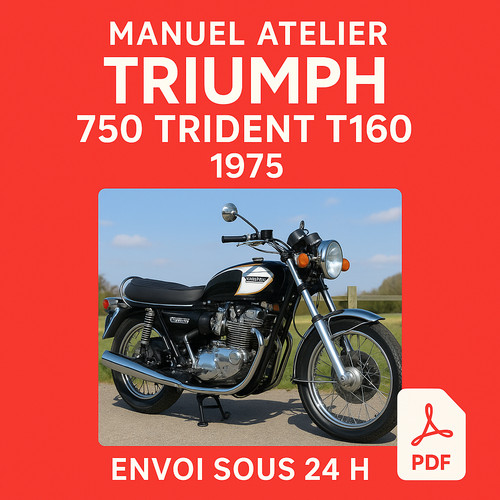 Manuel atelier triumph - manuel,