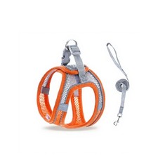 Harnais chat antievasion, respirant, réfléchissant, réglable