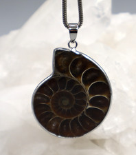 Grand PENDENTIF AMMONITE