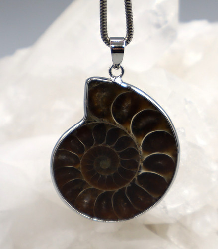 Grand pendentif ammonite - grand,
