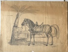 Cheval arabe dessin au - arabe,
