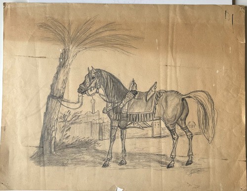 Cheval arabe dessin - cheval,