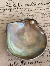 Cendrier en Coquille de Nacre