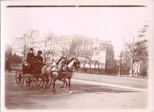 Paris attelage chevaux - attelage,