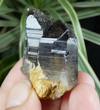 Quartz Fumé Double Pointe