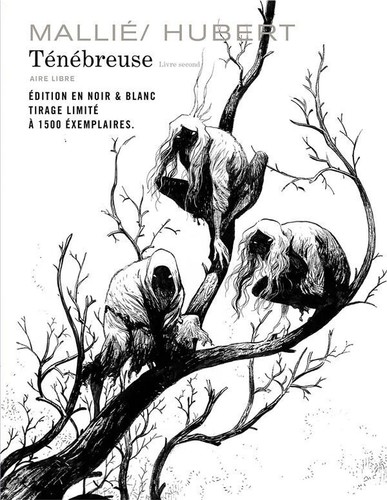 Ténébreuse tome 2 - ténébreuse,