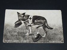 CPA CARTE POSTALE 1915 GUERRE 14-18 PATRIOTIQUE CHIEN SANITAIRE CASQUE A POINTE