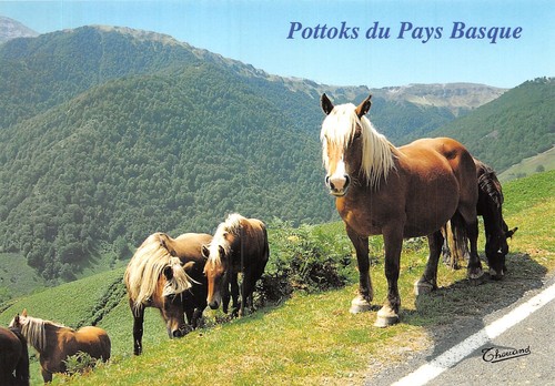 Iraty pottoks n - 64-iraty, pottoks-n