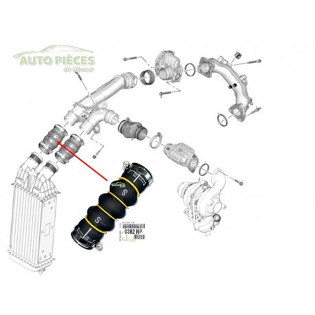Durite conduit echangeur air - durite, d