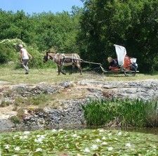 Véhicule Hypomobile