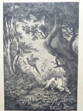GRANDE GRAVURE ANCIENNE Chasse