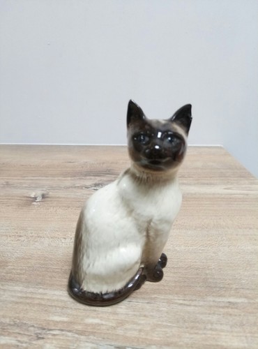 Charmant chat siamois
