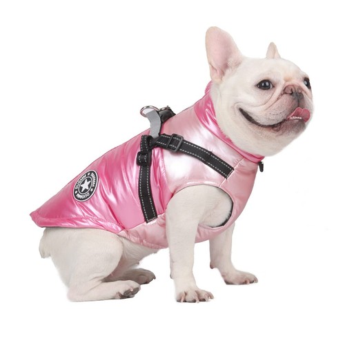 Chien chat manteaux - chien,