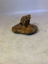 GRENOUILLE SUR PIERRE EN