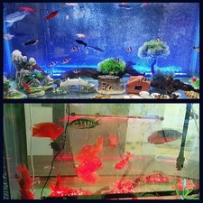 LED Aquarium Light Colorful