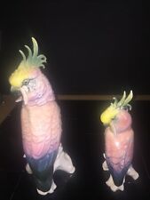 KARL ENS CACATOÈS OISEAU