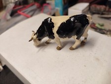 Vache Holstein  broutant  