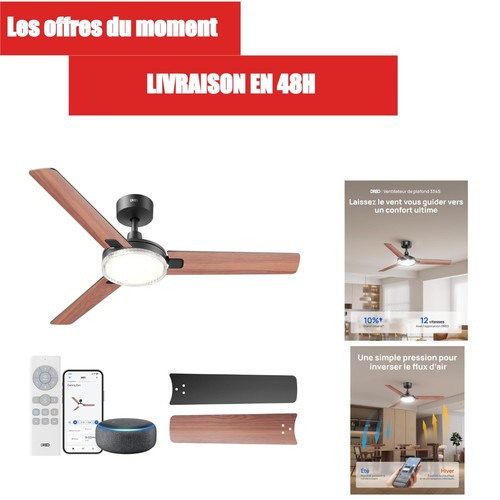 Dreo ventilateur plafond - ventilateur,