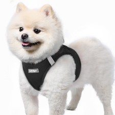 Harnais chien petite taille - harnais,