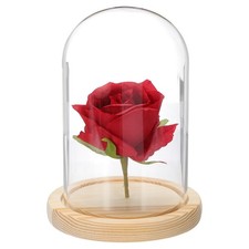 Dôme en verre pour vitrine