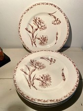 Lot 6 Assiettes plates Sépia