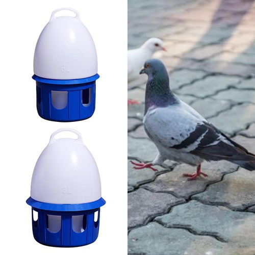Portable pigeon abreuvoir - portable,