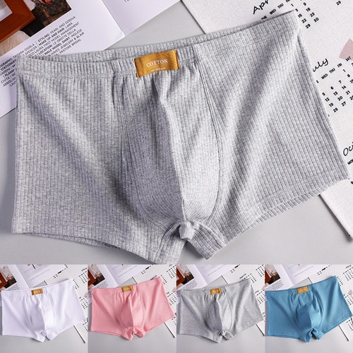 Boxer homme coton slip