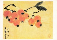 CHINE NING WEI PERSIMMON