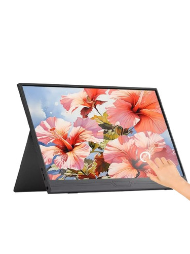 Ecran moniteur portable ips - ecran,