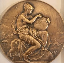 MÉDAILLE EN BRONZE PAS DUBOIS