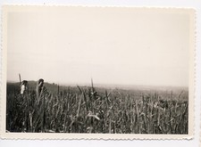 Vintage photo - 2 people in a field landscape