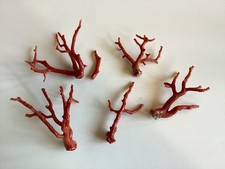 Lot de  Branches de Corail