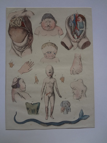 Ancienne gravure sciences - ancienne,