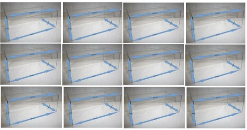 Lot vitrine vendu sans - lot, 12