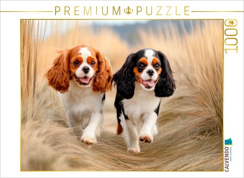 Calvendo puzzle cavalier king - calvendo,