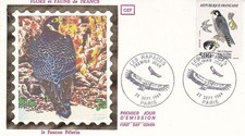 Enveloppe 1er jour Rapace