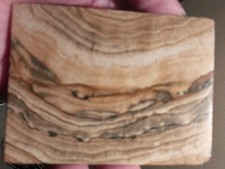 137g. Tranche Polie De Bois Silicifie De Madagascar