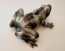 Massier, Vallauris...? - Grenouille en barbotine / majolique - L. 19 cm - 1900