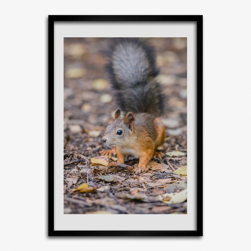 Photo salon 70x100cm cadre - le,