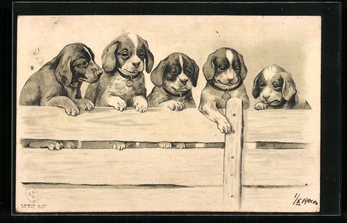 Carte postale artiste chiot - carte, d'artiste