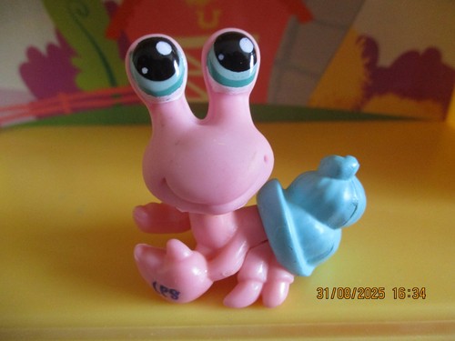 Petshop bernard hermite - petshop,