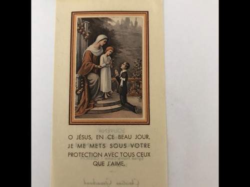 Image pieuse bouasse jeune - image,